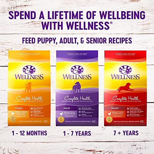 Wellness Complete Health Суха храна за кучета, сиги и сладки картофи, за възрастни, Натурален, произведен