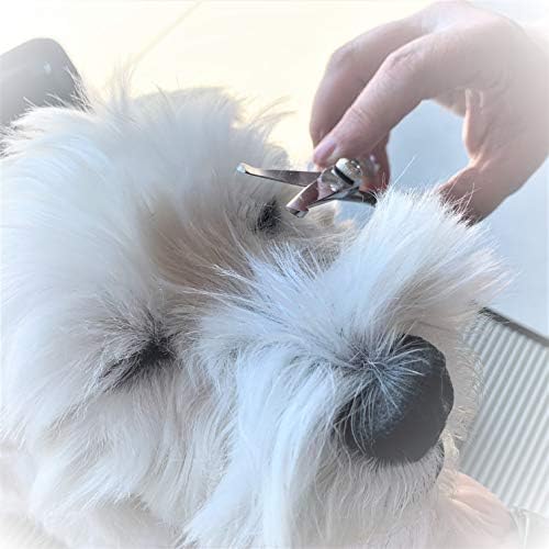 Комплект Ножици, за да се Грижи за кучета с титанов щанга с покритие 4CR От Неръждаема Стомана Безопасни Тъпи Ножици За Грижа за домашни любимци Комплект Ножици за Ку